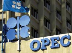 OPEC Cuts 2015 Demand, Says Low Prices May Slow Shale Oil Production
