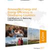 CPEEL Researchers Contribute to 1 Gigaton Coalition 2017 Report